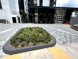 Mayfair Gardens (D21), Condominium #393799891